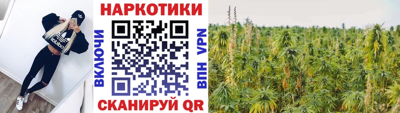 Купить закладку Каннабис  COCAIN  Alpha PVP  Меф мяу мяу  Калининск