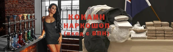 кокс Алексин