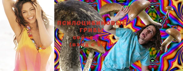 кокс Алексин