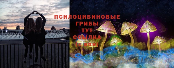 кокс Алексин