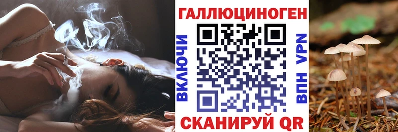 Купить  Калининск  Галлюциногенные грибы Magic Shrooms 