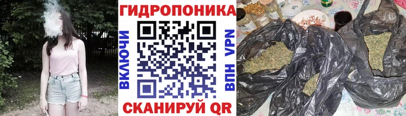Шишки марихуана THC 21% Калининск