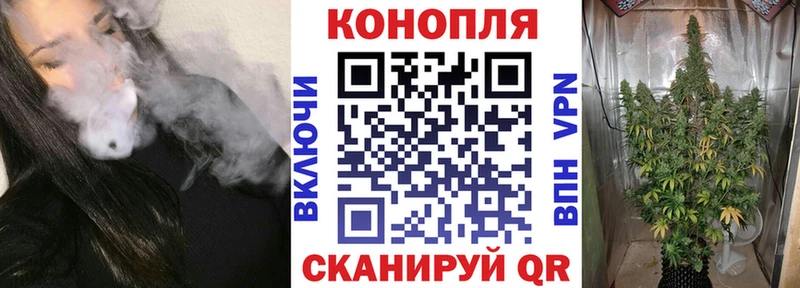Купить  Калининск  Канабис планчик 